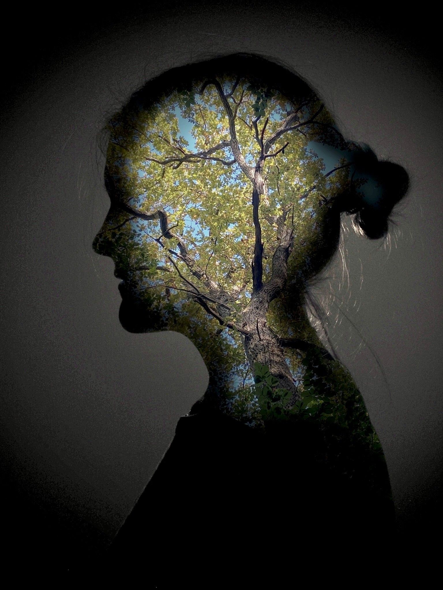 Silouette of a person in a dimly lit room. In the silouette, green oak leaves and branches are visible, as well as blue sky in the background.