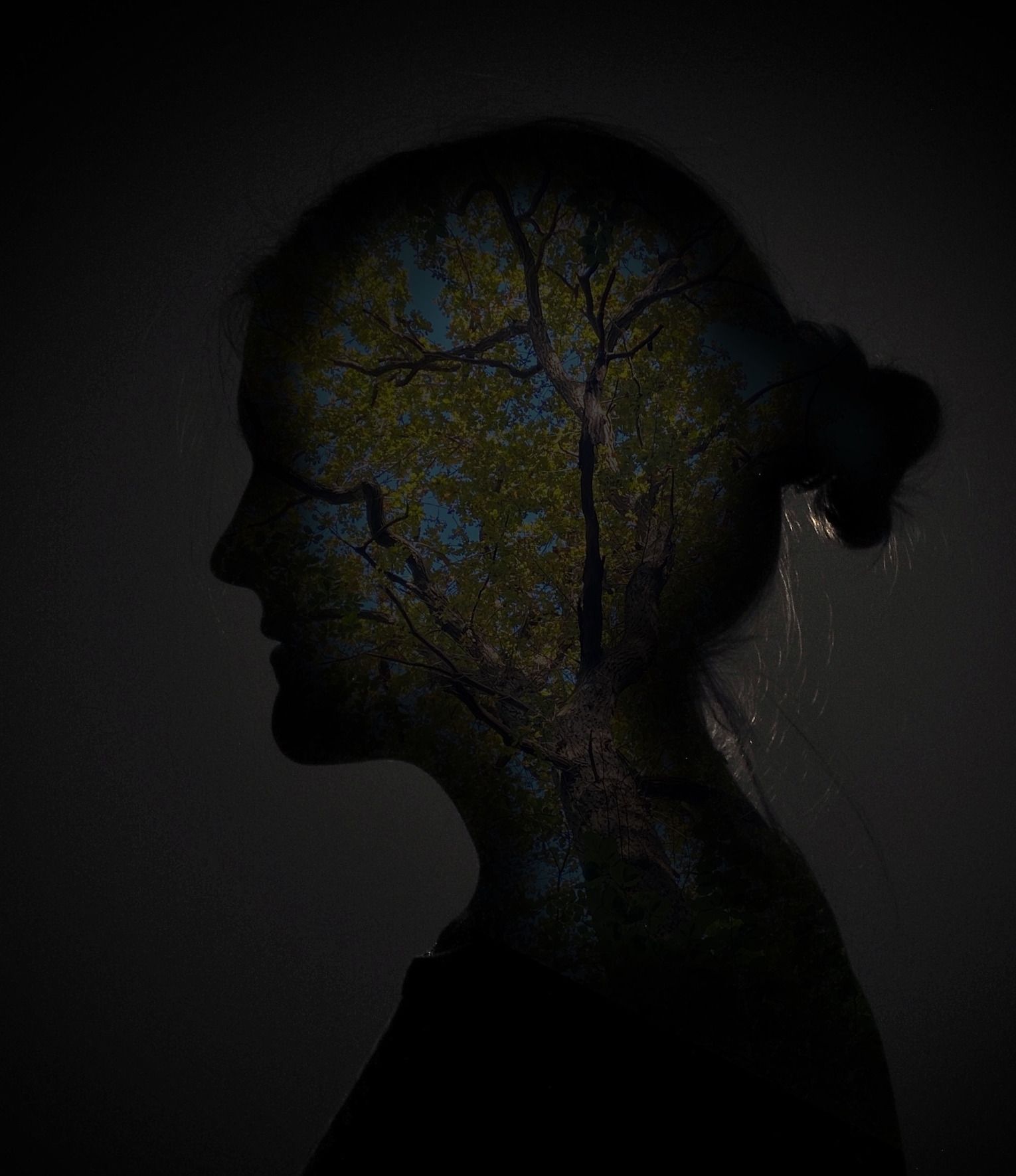 Silouette of a person in a dimly lit room. In the silouette, green oak leaves and branches are visible, as well as blue sky in the background.