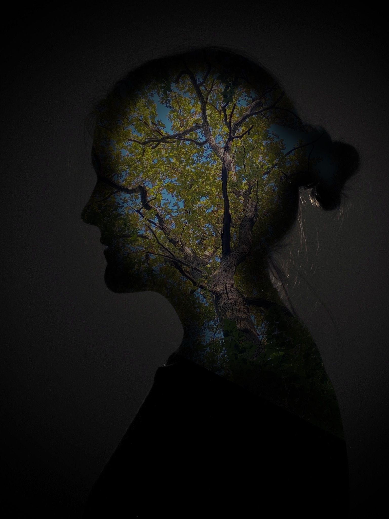 Silouette of a person in a dimly lit room. In the silouette, green oak leaves and branches are visible, as well as blue sky in the background.