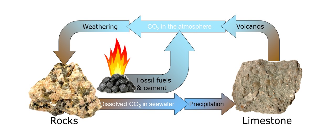 Burning fossil fuels and making cement adds carbon dioxide to the atmosphere, perturbing the slow carbon cycle.